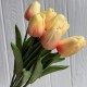 Букет тюльпанов, 34 см, молочно-коралловый, букет з 9 шт.