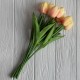 Букет тюльпанов, 34 см, молочно-коралловый, букет з 9 шт.