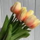 Букет тюльпанов, 34 см, молочно-коралловый, букет з 9 шт.