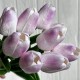 Букет тюльпанов, 34 см, бело-сиреневый, букет з 9 шт. Букет тюльпанов, 34 см, бело-сиреневый, букет з 9 шт.