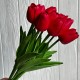 Букет тюльпанов, 34 см, красный, букет з 9 шт.