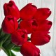 Букет тюльпанов, 34 см, красный, букет з 9 шт.