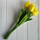 Букет тюльпанов, 34 см, желтый, букет з 9 шт.