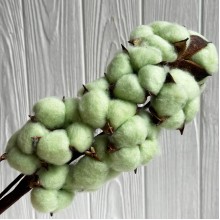 Бавовна стабілізована на ніжці, 38 см, світло-зелений, упаковка 10 шт. Бавовна стабілізована на ніжці, 38 см, світло-зелений, упаковка 10 шт.