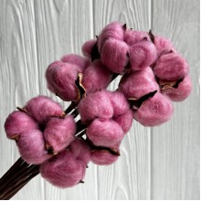 Хлопок стабилизированный на ножке, 38 см, пудрово-баклажановый, упаковка 10 шт.