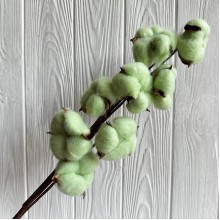 Хлопок на ветке, 60 см, светло-зеленый, шт.