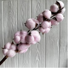 Хлопок на ветке, 60 см, нежно-розовый, шт.