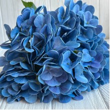 Гортензия латексная (С30056), 46 см, голубая, шт.