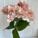 Гортензия латексная (С30056), 46 см, капучино, шт.