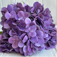 Гортензия латексная (С30056), 46 см, фиолетовая, шт.