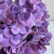 Гортензия латексная (С30056), 46 см, фиолетовая, шт.