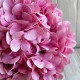 Гортензия латексная (С30056), 46 см, розовая, шт.