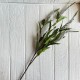 Гілка еремуруса, 73 см, біла, шт. Гілка еремуруса, 73 см, біла, шт.
