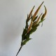 Гілка еремуруса, 73 см, темно-жовта, шт.