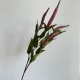 Гілка еремуруса, 73 см, малинова, шт.