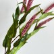 Гілка еремуруса, 73 см, малинова, шт.