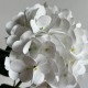 Ветка гортензии (С30542), 66 см, белая, шт.