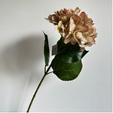 Ветка гортензии (С30542), 66 см, бежевая, шт.