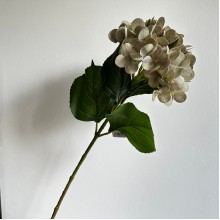 Ветка гортензии (С30542), 66 см, светло-оливковая, шт.