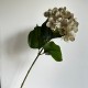 Ветка гортензии (С30542), 66 см, светло-оливковая, шт.