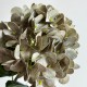 Ветка гортензии (С30542), 66 см, светло-оливковая, шт.