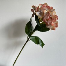 Ветка гортензии (С30542), 66 см, светло-оранжевая, шт.