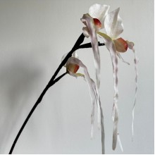 Гілка дикої орхідеї, 80 см, біла, шт.