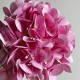 Ветка гортензии (С30542), 66 см, розовая, шт.
