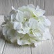 Гортензія (суцвіття), 17 см, айворі, шт.