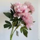 Букет пионов (С30482), 50 см, молочно-розовый, шт.