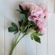 Букет пионов (С30482), 50 см, молочно-розовый, шт.