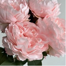Букет пионов (С30478), 44 см, светло-розовый, шт. Букет пионов (С30478), 44 см, светло-розовый, шт.