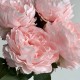 Букет пионов (С30478), 44 см, светло-розовый, шт.