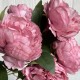 Букет пионов (С30478), 44 см, розово-пудровый, шт.