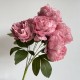 Букет пионов (С30478), 44 см, розово-пудровый, шт. Букет пионов (С30478), 44 см, розово-пудровый, шт.
