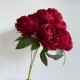 Букет пионов (С30478), 44 см, бордовый, шт.