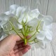 Гортензія (суцвіття), 17 см, айворі, шт.