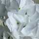 Гортензия (соцветие), 17 см, белый, шт. Гортензия (соцветие), 17 см, белый, шт.