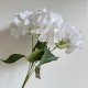 Букет гортензии (С30469), 48 см, белый, шт.