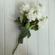 Букет морозника (С30477), 45 см, айвори, шт.