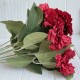 Букет диантусов (С30474), 42 см, красный, шт.