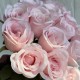 Букет роз (С30480), 40 см, светло-розовый, шт. Букет роз (С30480), 40 см, светло-розовый, шт.