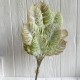 Гілка монстери (С30547), 36 см, світло-зелено-коричнева, шт.