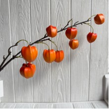 Ветка физалиса (С30514), 76 см, оранжевая, шт.