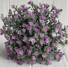 Зелень гіпсофіли (букет), 30 см, бузковий, 10 шт.