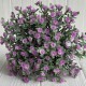Зелень гіпсофіли (букет), 30 см, бузковий, 10 шт.