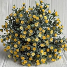 Зелень гіпсофіли (букет), 30 см, жовтий, 10 шт.