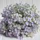 Ветка лимониума (С30485), 30 см, лиловая, шт.