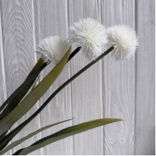 Ветка амбербоа, 60 см, белая, шт.
