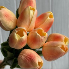 Букет тюльпанов, 34 см, персиково-коралловый, букет з 9 шт.